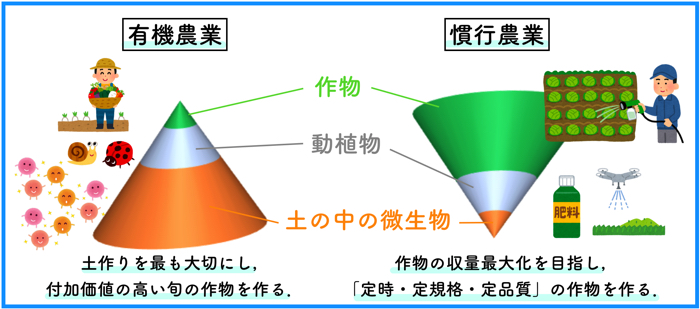 有機農業と慣行農業との違いを解説する 農薬を使っているかどうかとではない 糸満フルーツ園 けんちゃん