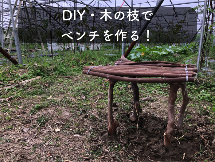 Diy 木の枝で一人用ベンチを作ってみた 所要時間は1時間 糸満フルーツ園 けんちゃん