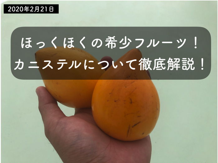 かなり希少なトロピカルフルーツ カニステルとは一体何 糸満フルーツ園 けんちゃん