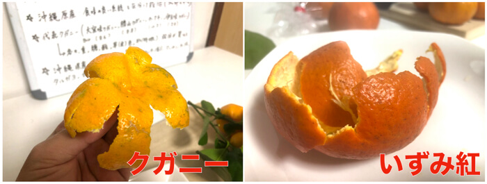 タンカン 沖縄の冬の代表柑橘といえば タンカン 特徴 食べ方 食レポ 糖度まで 糸満フルーツ園 けんちゃん