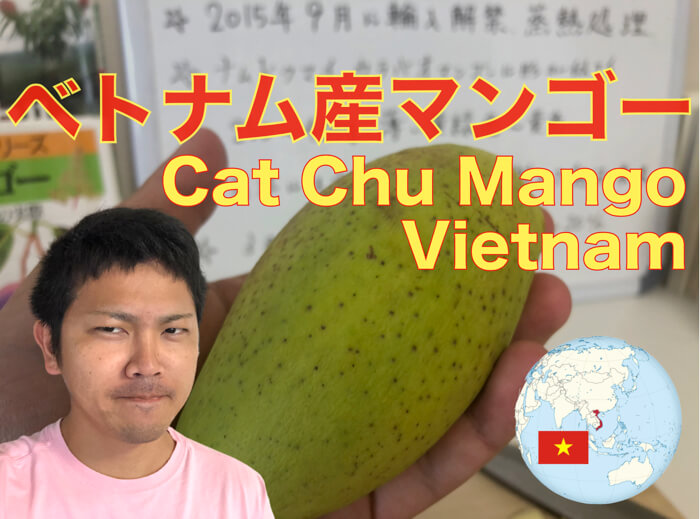 カッチュー種のマンゴーが届いた！【Cat Chu Mango】
