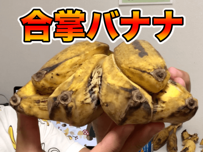 【食レポ】合掌バナナ(リンキットバナナ) (Lingkit，Praying Hands Banana，Kluai Thepanom)
