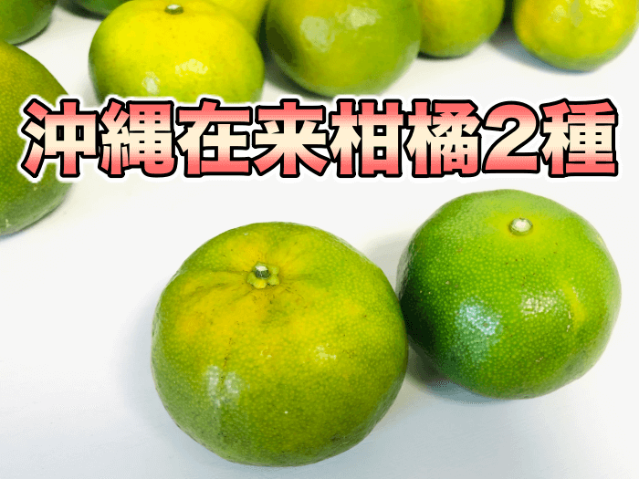 【食レポ】タルガヨーとオートー，沖縄県の代表する柑橘2種．