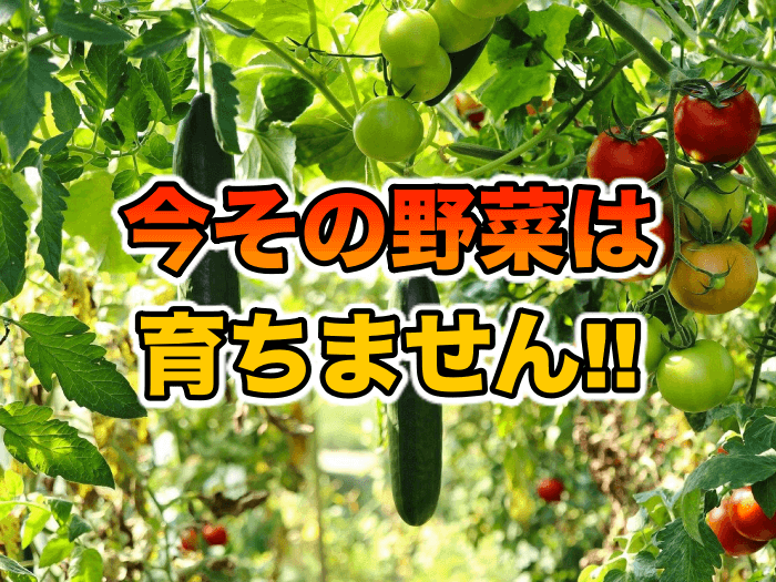 今はその野菜は育ちません！野菜の生育適温を一挙ご紹介！